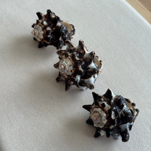 Load image into Gallery viewer, Caracol Ring
