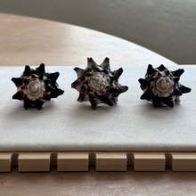 Load image into Gallery viewer, Caracol Ring
