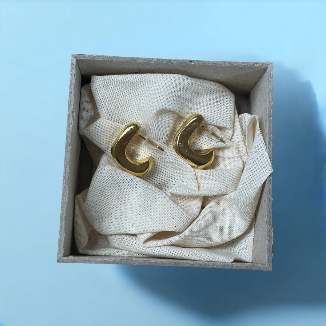 Dainty Hoop Earrings